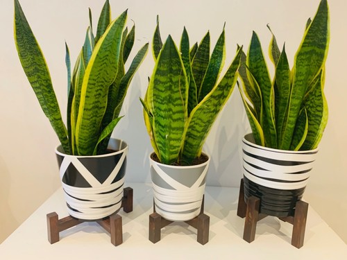 Pot ceramic and - , terracotta