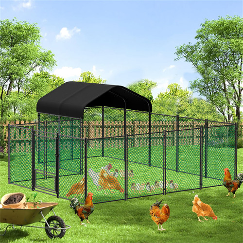 10m chicken coop - chicken, metal