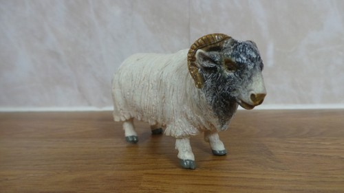 Elc ewe sheep - /,