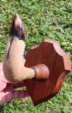 Vintage French taxidermy Deer Foot coat hook antique mounted hoof Hunting rack