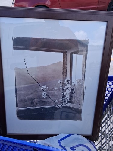Antique framed lithograph - antique,