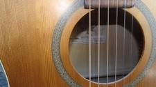 Norman B20 Folk Guitar