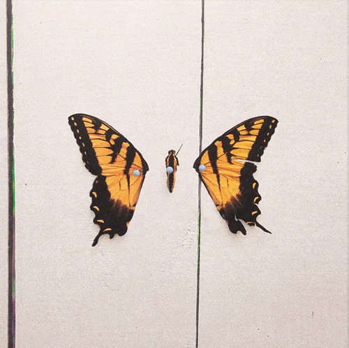 Paramore brand new - brand, eyes