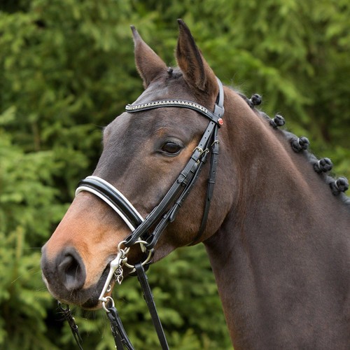 Kieffer comfort paris snaffle - kieffer,