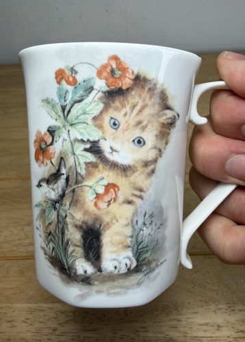 Adorable kitten cat fine bone - adorable,