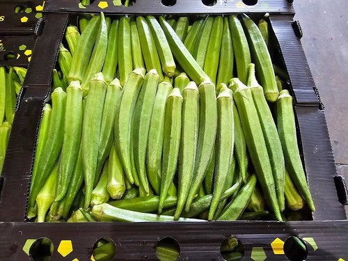 Fresh lady finger - fresh,