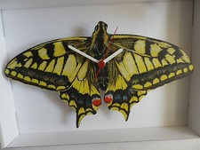 BUTTERFLY WALL CLOCK.12 BREEDS