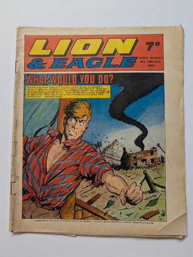 Lion and eagle - lion,