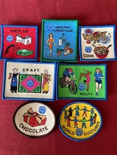 Guide badges new x7 camp