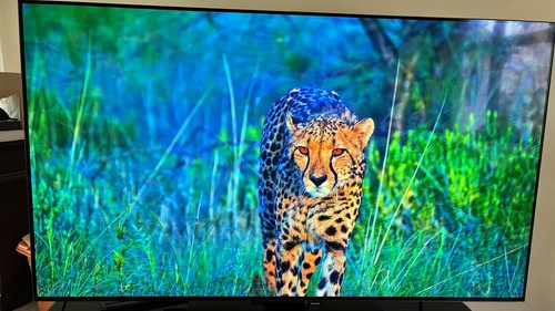 Panasonic z80 oled 4k - 55",