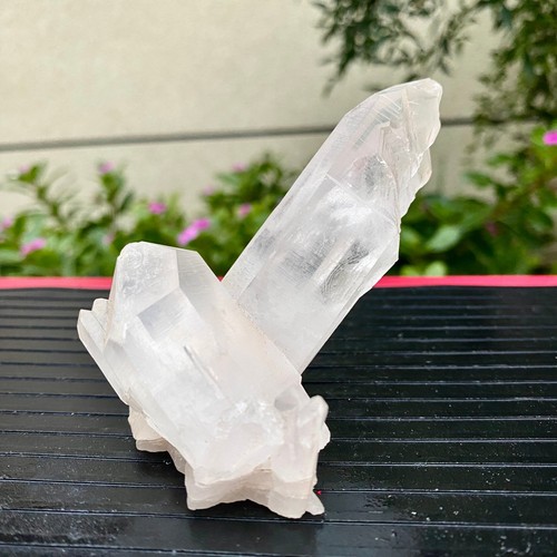 142g large himalayan top - 142g,