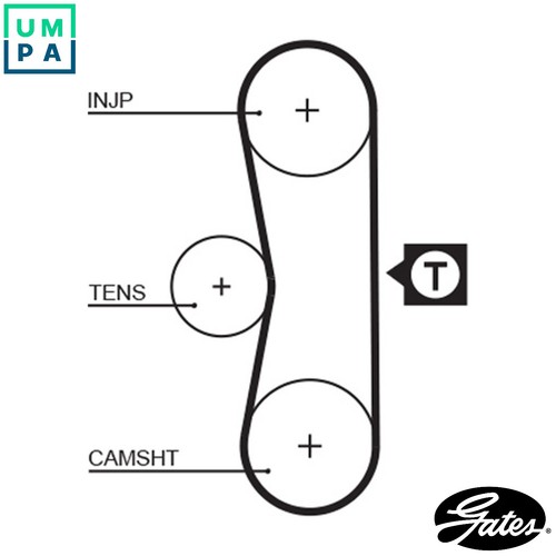 Timing belt 5062 for peugeot - timing,