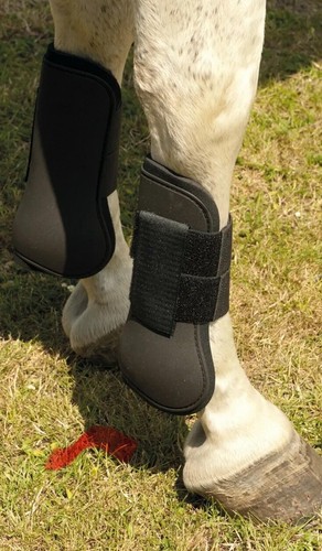 Harlequin neoprene tendon - harlequin,