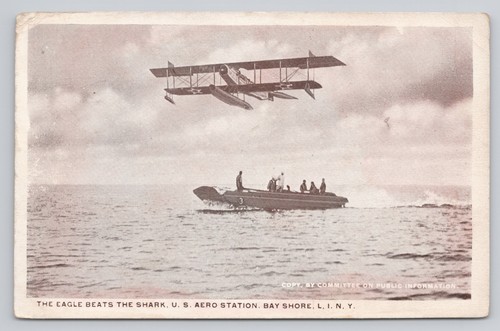 Postcard eagle beats - postcard, shark