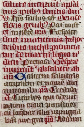Medieval latin vellum - medieval,