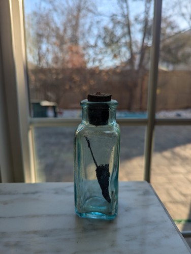 Antique bottle shoe - antique, polish