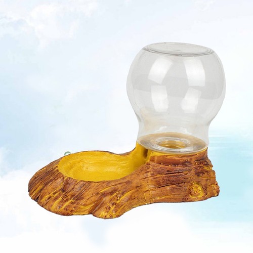 Reptile accessories dish - reptile,