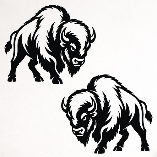 Bison car campervan - bison,
