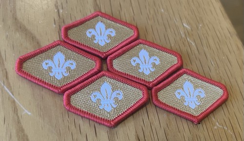 Chief scouts gold - chief, award