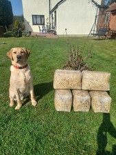 Compressed straw easy - compressed, straw,