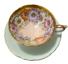 VTG Paragon Anemones Poppies