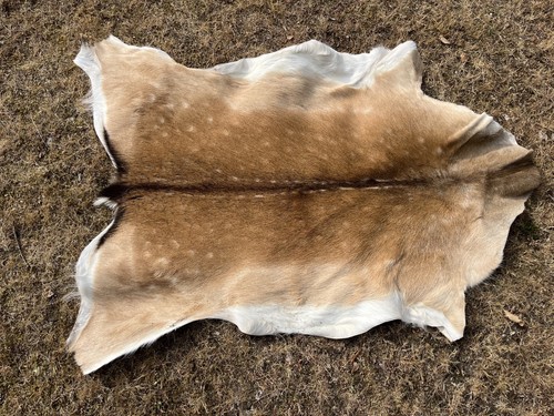 Nice new real - new, fallow