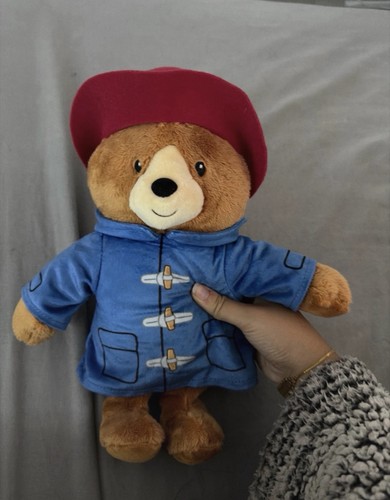 Paddington the bear - the,