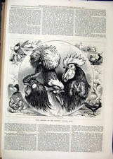 Old Antique Print Prize