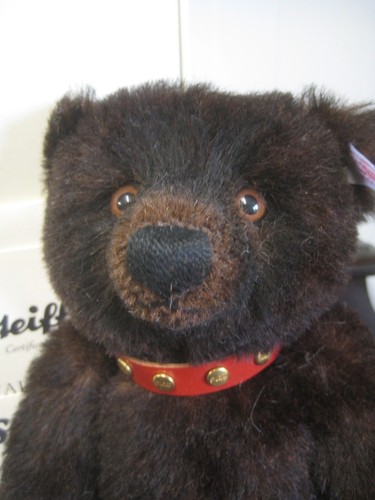 Boxed steiff - 10", (26
