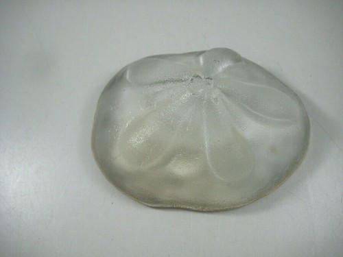 Phoenix glass studio sea - studio,