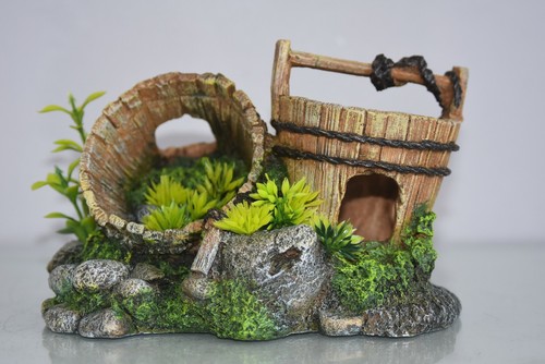 Aquarium stunning detailed old - aquarium,