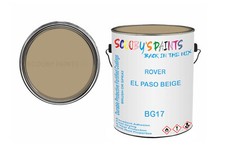 Classic Paint For Wolseley
