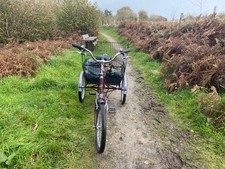 pashley tricycle tri-1 for sale 
