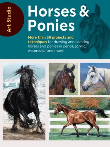 Art studio horses and ponies - horses,