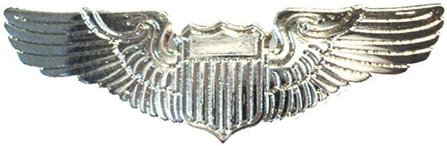 Pilot wings metal - pilot, enamel