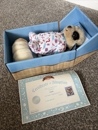 Compare the meerkat baby - the,