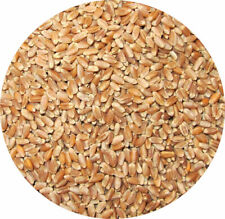 WHOLE WHEAT Poultry Food Food 10kg 5kg 3kg 2kg 1kg 700g 450g Chicken Food Ducks