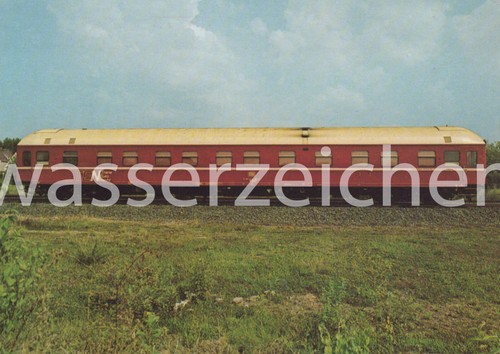 Postcard photo sleeping - postcard/photo,