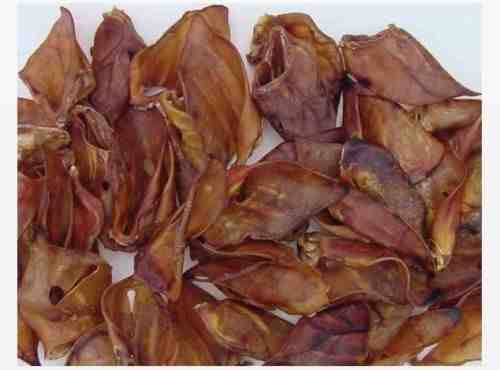 Net quality pigs - net, ears