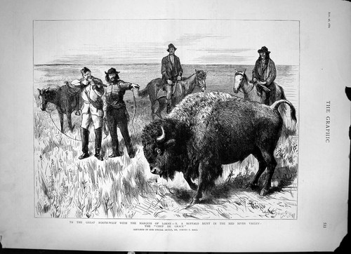 Old print buffalo hunt marquis - buffalo,