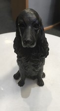 Bronze Spaniel
