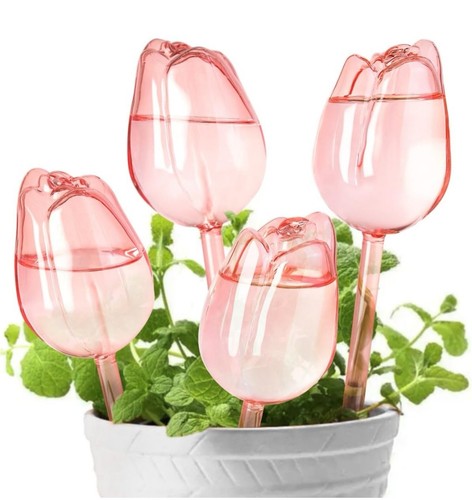 Glass plant watering bulbs - watering,