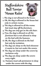 Staffy Blue   - House Rules