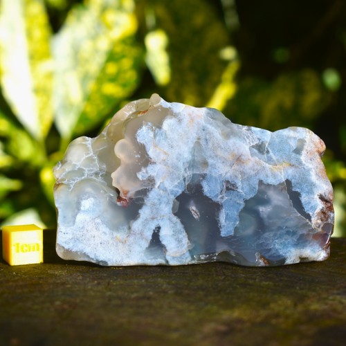 Blue chalcedony freeform - freeform, |
