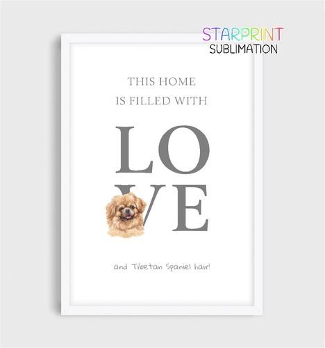 Tibetan spaniel this home - spaniel, "this