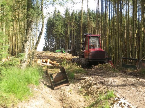 Photo 6x4 timber harvesting - 6x4,