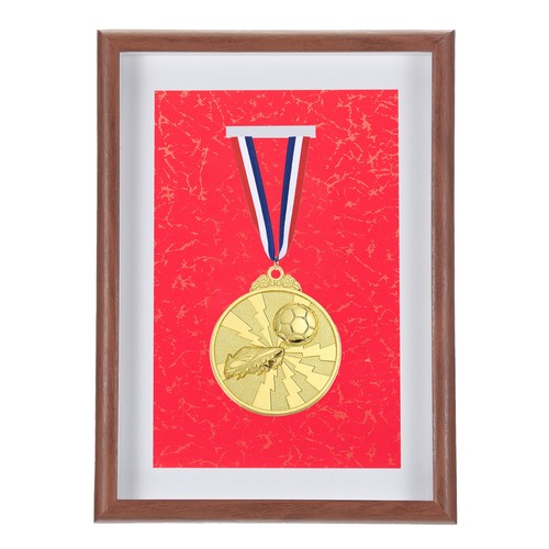 Medal display case 8 - 6"x, 8"