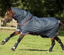 Horseware Amigo Bravo 12