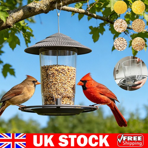 Hanging bird feeder garden - bird,