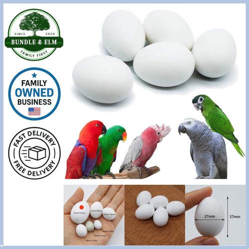 Pcs hatching eggs for - hatching,